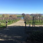 xoxojackie winery