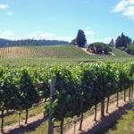 napa