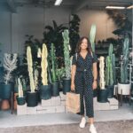 xoxojackie plants