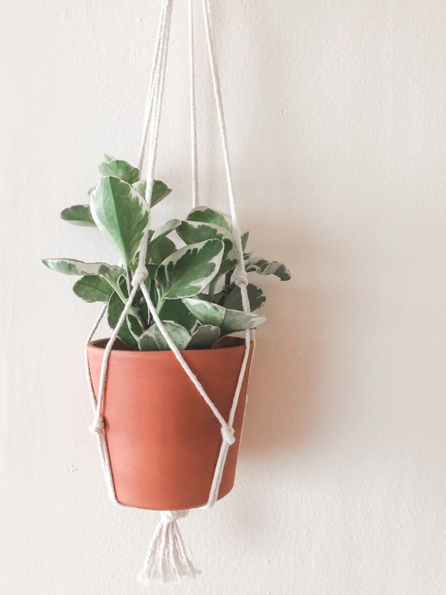 Make your own plant pot hanger with just one cord