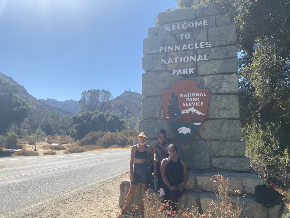 Day Trip to Pinnacles National Park