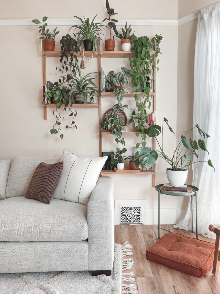 My Plant Shelfie + How to Achieve Your Own