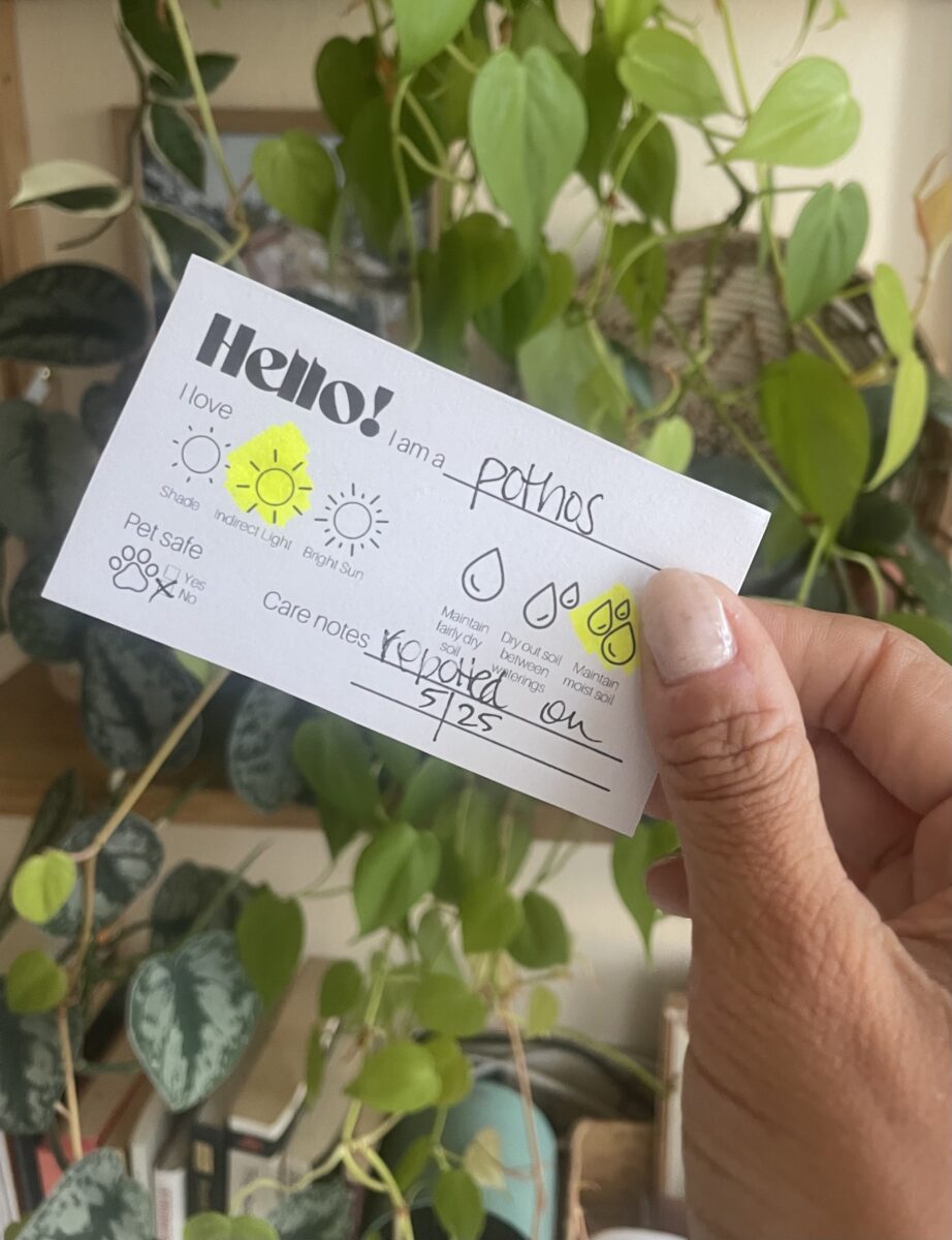 3 of My Favorite Printable Resources for Happy and Healthy Indoor Plants