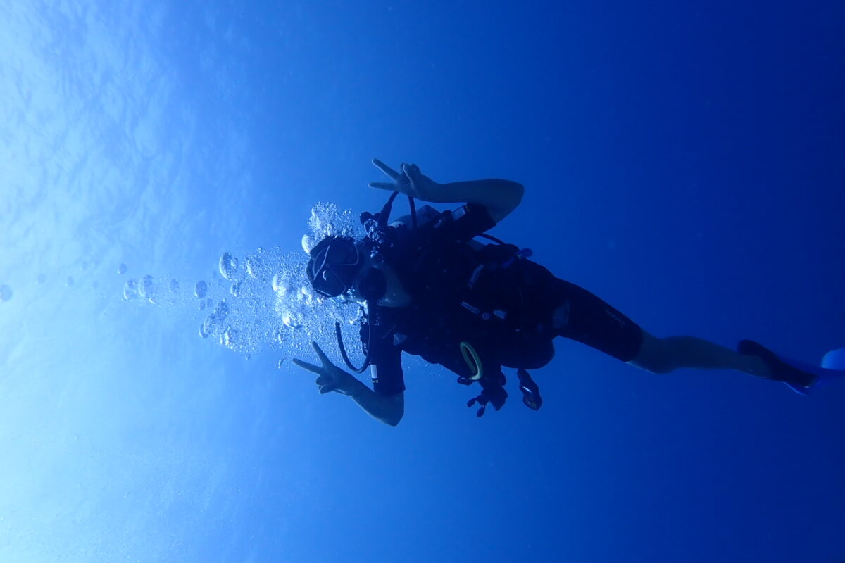 Exploring Roatán Underwater: A Beginner’s Scuba Diving Adventure
