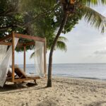 Xoxojackie roatan