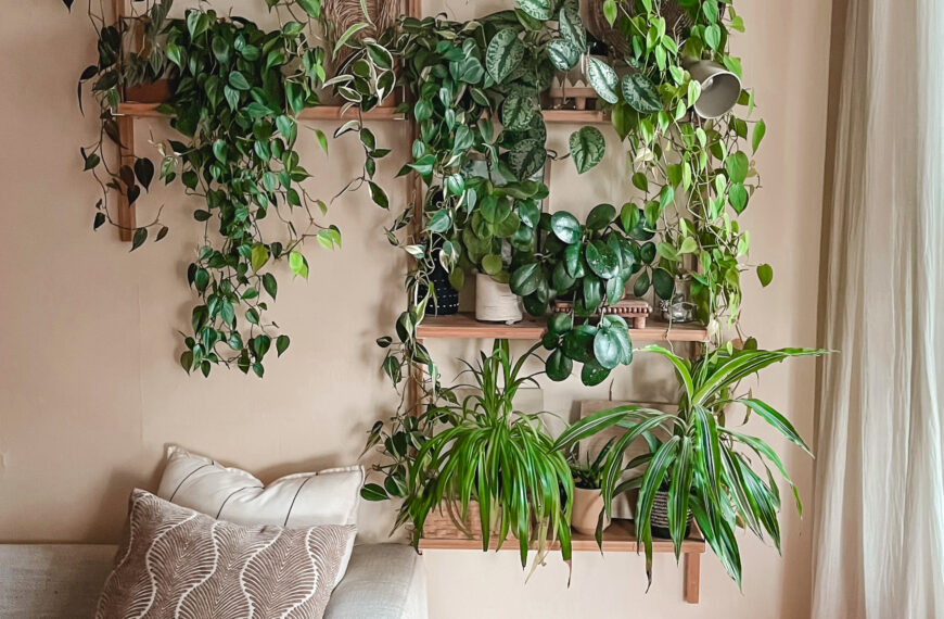 20 Best Houseplants for a Tropical-Inspired Home