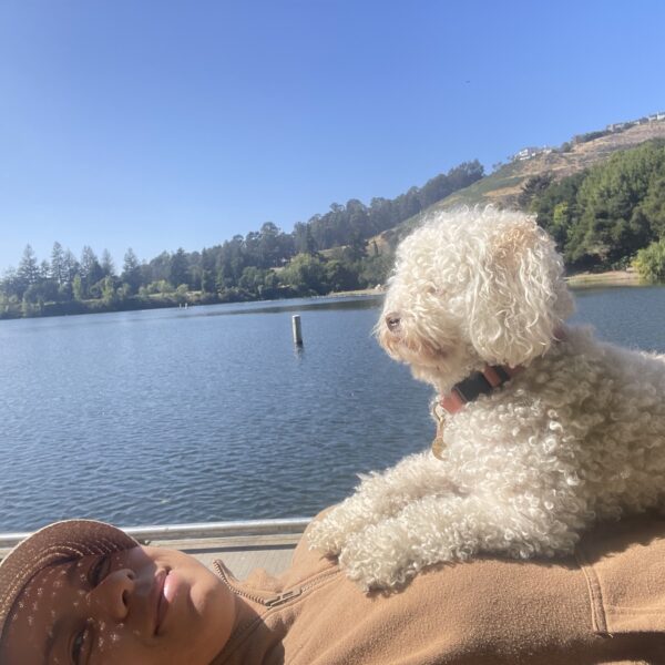 Best Hikes & Walks with Water Views Near Oakland