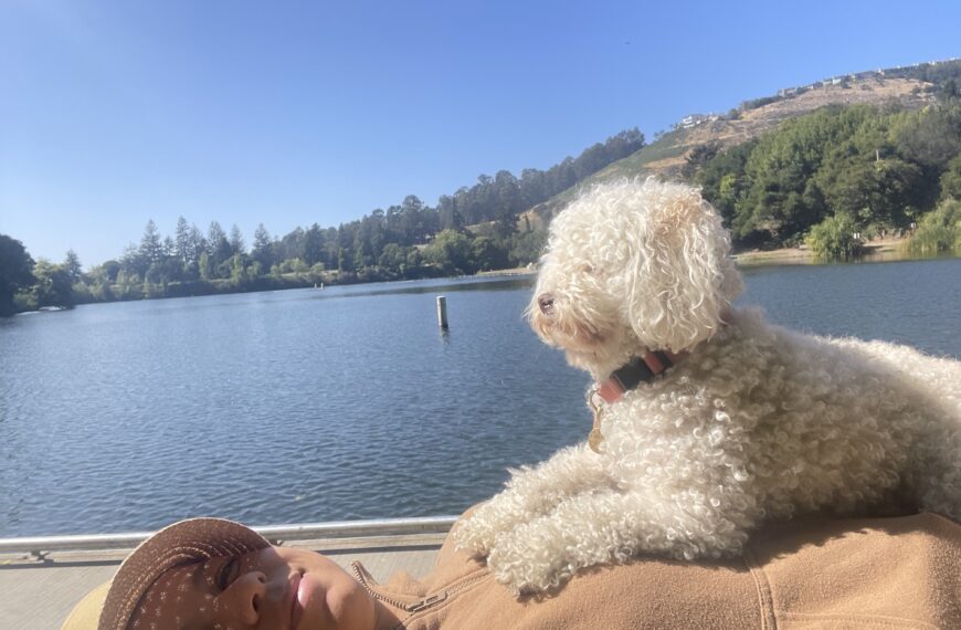 Best Hikes & Walks with Water Views Near Oakland