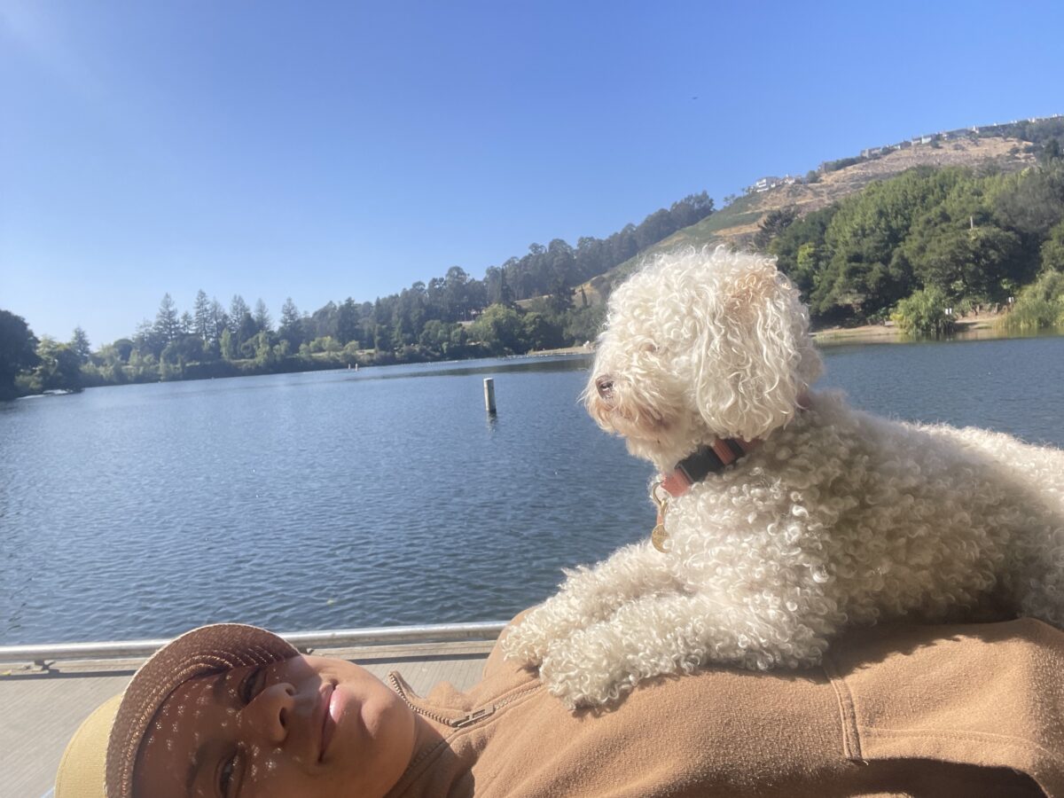 Best Hikes & Walks with Water Views Near Oakland