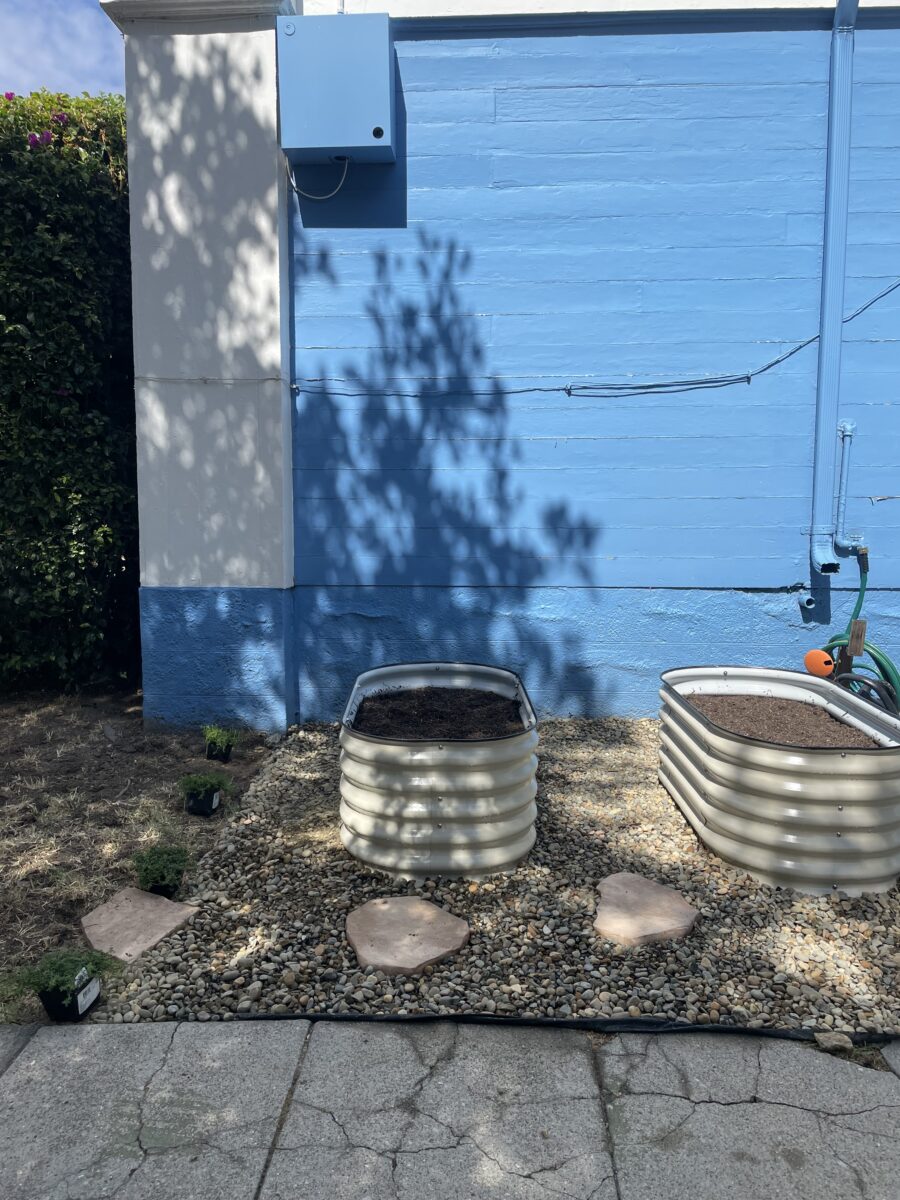 How to Fill a Raised Garden Bed for Cheap (The Lasagna Method)