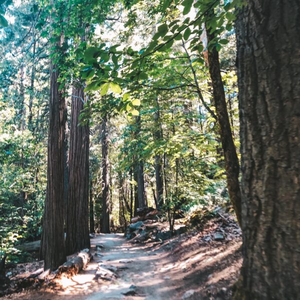 Hiking Yosemite in the Spring: A Weekend at Curry Village