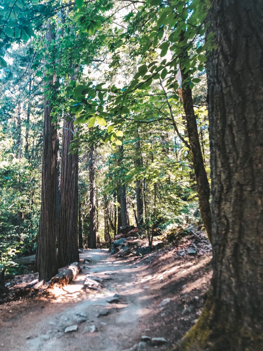 From Deserts to Lighthouses: The Most Unique Hiking Trails in California