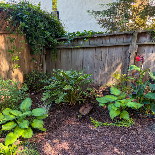 Shady Corner Landscaping Improvement