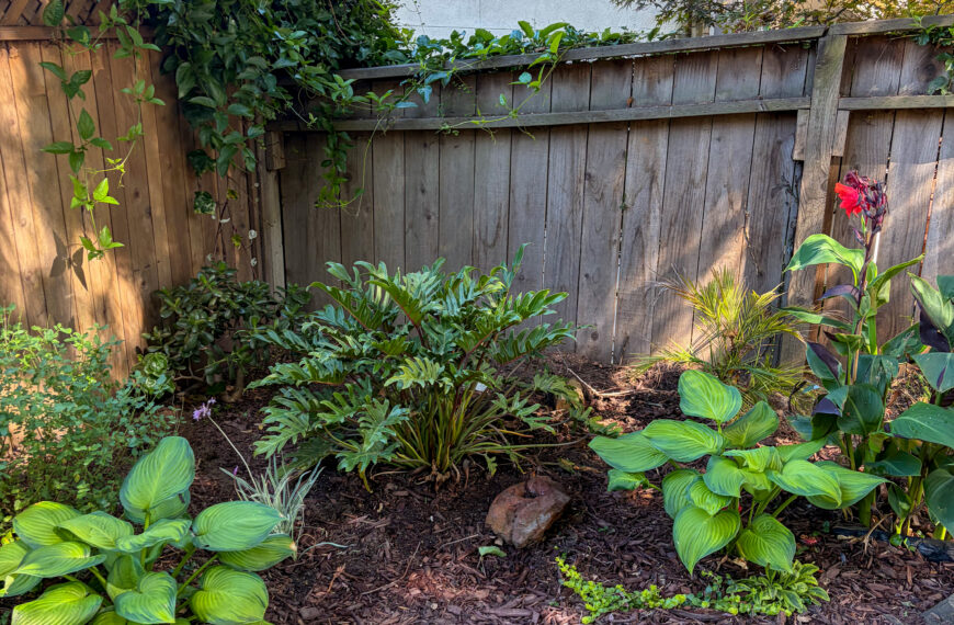 Shady Corner Landscaping Improvement