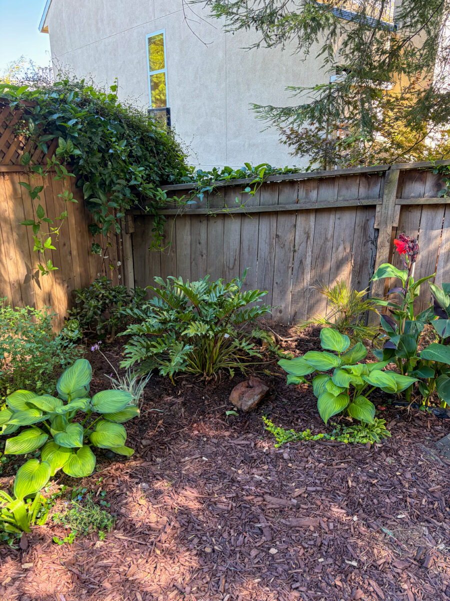 Shady Corner Landscaping Improvement