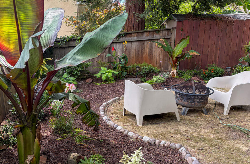 How I Built a Lush Backyard Perimeter Over Time