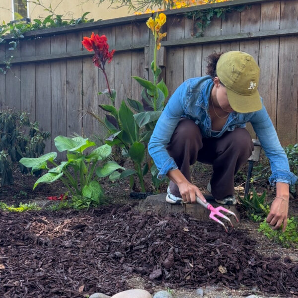 Polishing Touch on Backyard Update: Mulch With Me