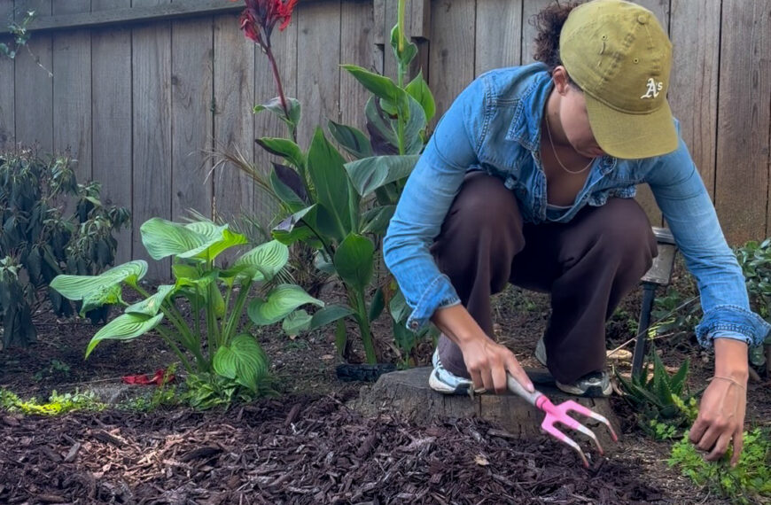 Polishing Touch on Backyard Update: Mulch With Me