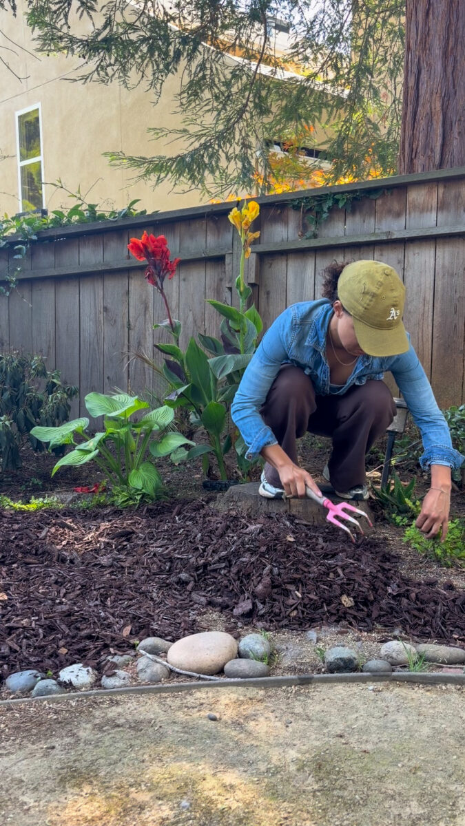 Polishing Touch on Backyard Update: Mulch With Me